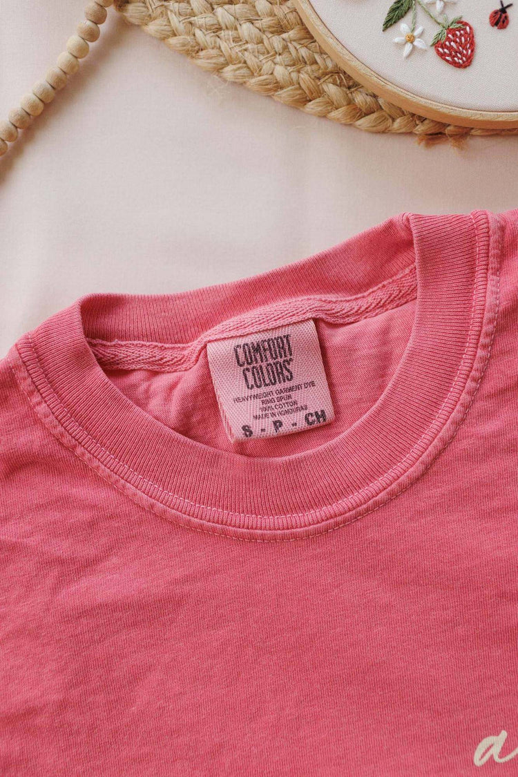 Psalm 118 Christian t-shirt detail — small 'abide' left-chest script on Watermelon Comfort Colors tee