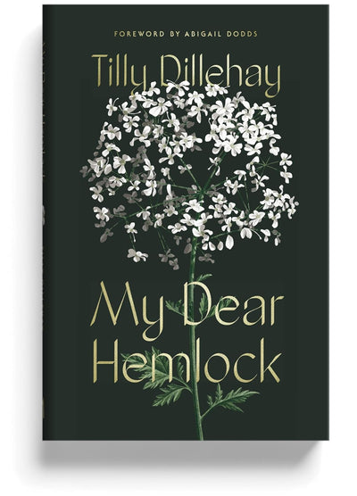 My Dear Hemlock by Tilly Dillehay, book cover